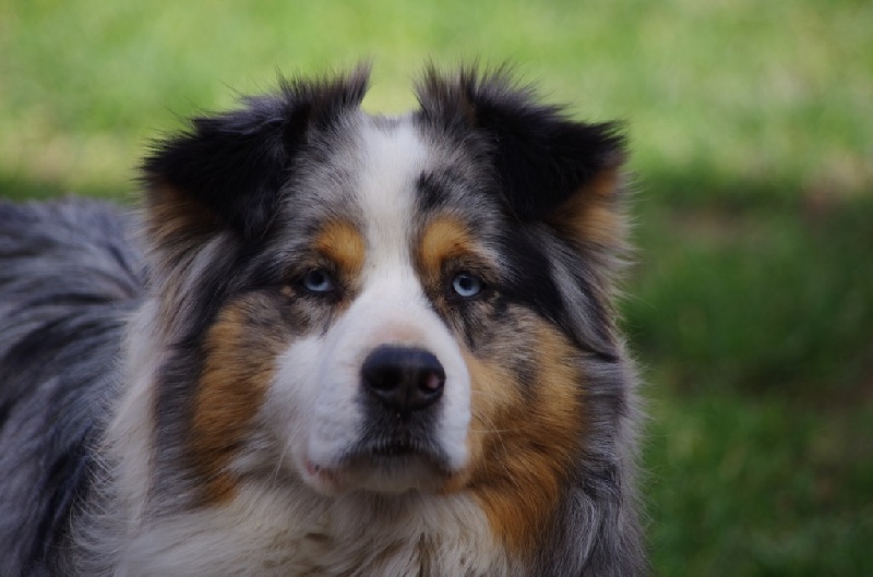 Publication : Eagle Creek's Auteur : val