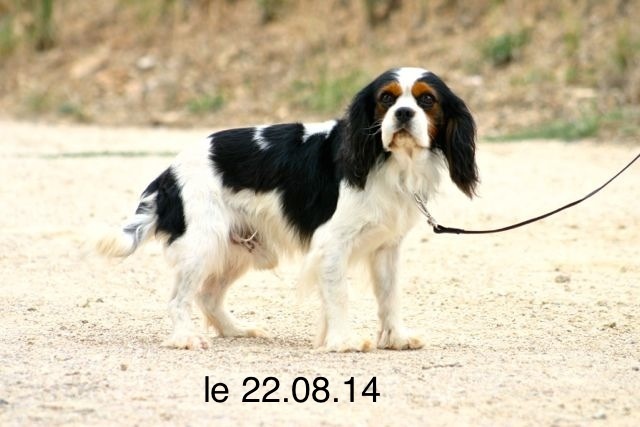 Publication : de la Bastide du Jas de Jeromes Auteur : Stéphane Giroud