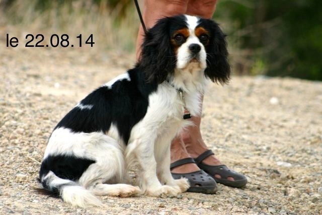 Publication : de la Bastide du Jas de Jeromes Auteur : Stéphane Giroud