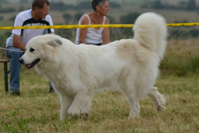 Falling away with you du Domaine de Peyrac - 2ème excellent