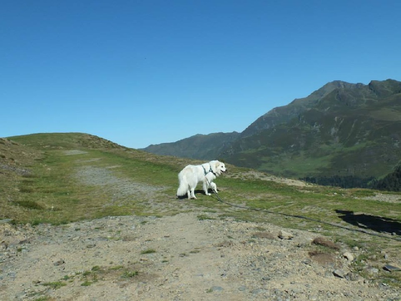 Falling away with you du Domaine de Peyrac - Excellent NC