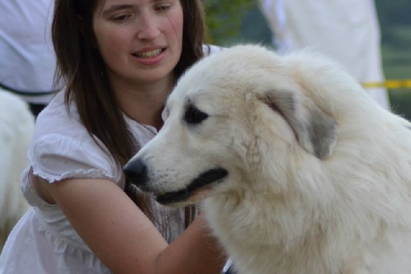 Falling away with you du Domaine de Peyrac - 2ème excellent RCAC et RCACIB