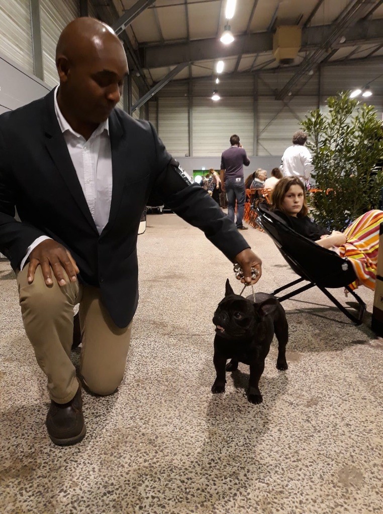 Mustang ( dit maïky ) De La Vallée Des Marsouins - 1er Excellent CIM - CACS