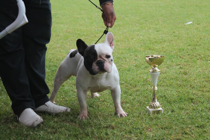 Harper avery Du domaine de liana - N.C