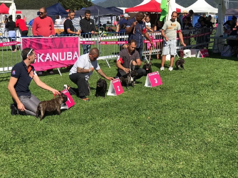 Mustang ( dit maïky ) De La Vallée Des Marsouins - 2ème Excellent Classe Jeune ' 9 - 18 mois '