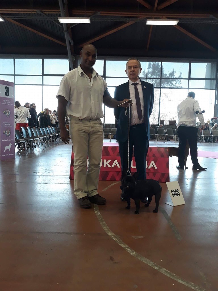 Mustang ( dit maïky ) De La Vallée Des Marsouins - 1er Excellent CIM - CACS