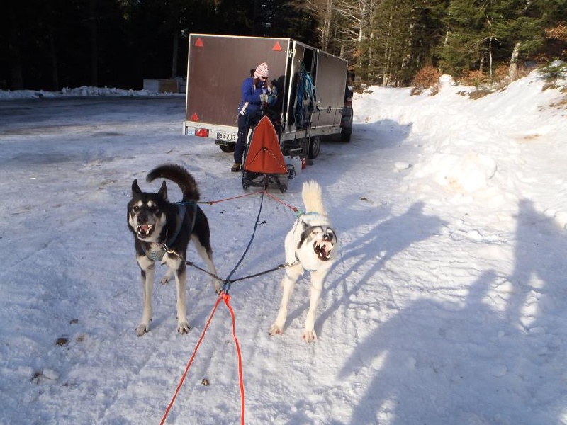 Publication : Of Alpa Trail