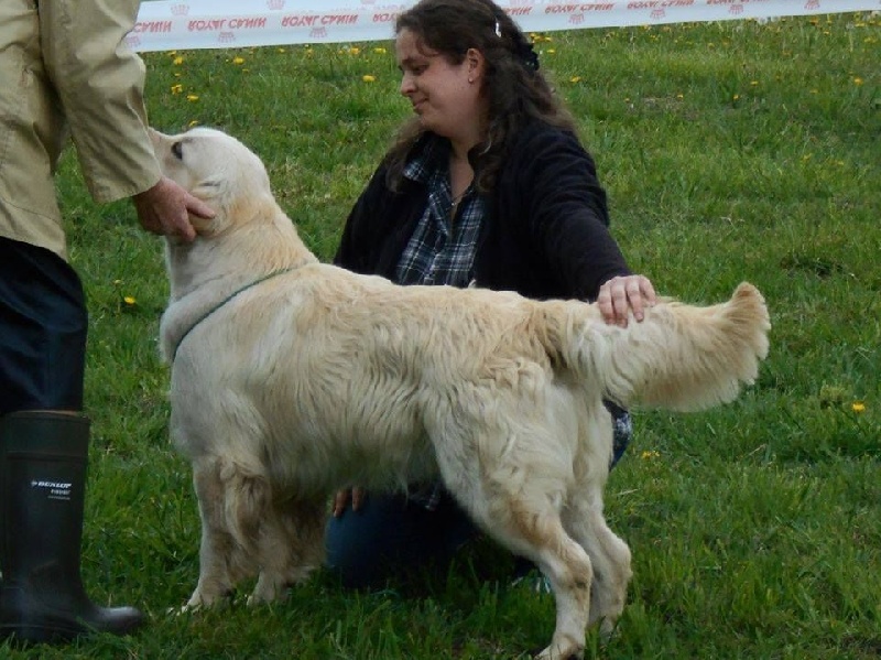 Publication : Mind Bossea's Auteur : Elodie Mauger