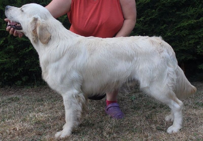 Publication : Mind Bossea's Auteur : Elodie Mauger