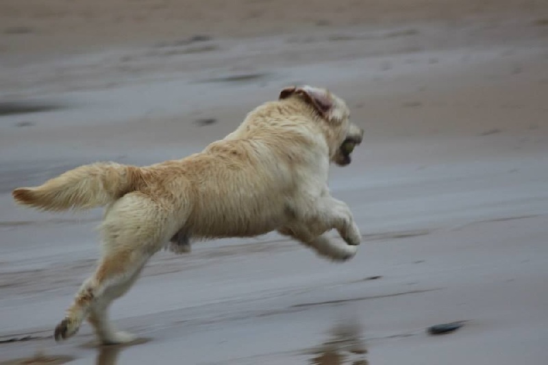 Publication : Mind Bossea's Auteur : Elodie Mauger