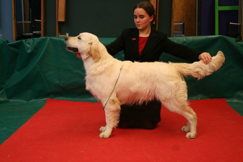 Publication : Mind Bossea's Auteur : Elodie Mauger