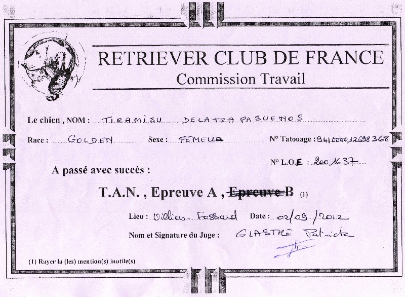 Tiramisu de atrapasuenos - TAN + Sélectif A