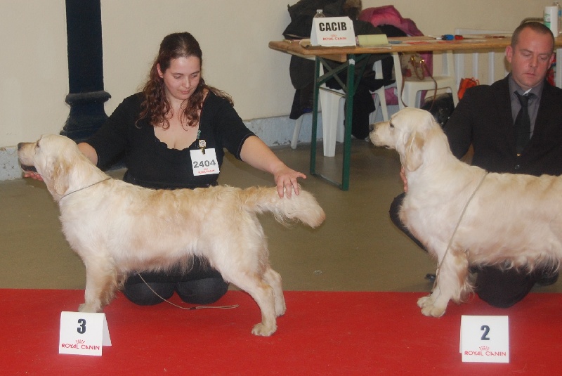 Tiramisu de atrapasuenos - 3ème Excellent