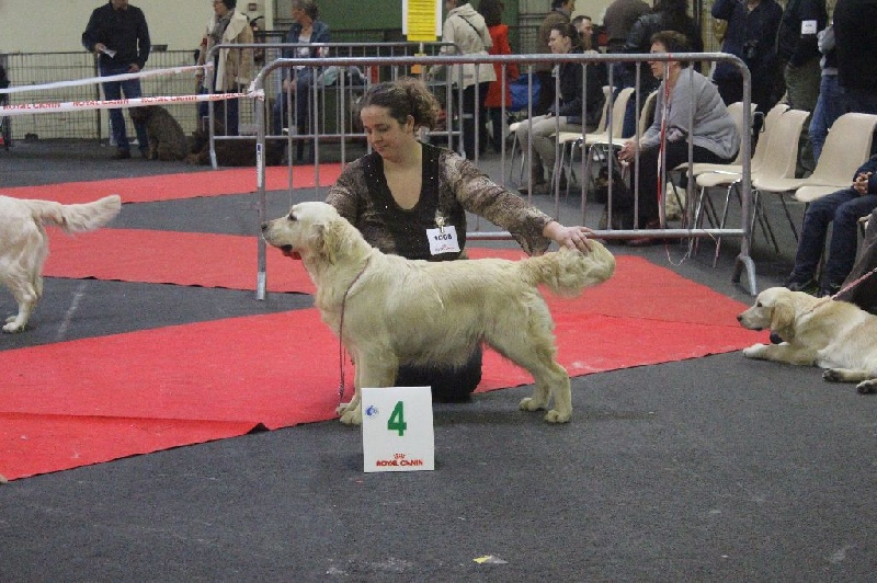 Tiramisu de atrapasuenos - 4ème Excellent