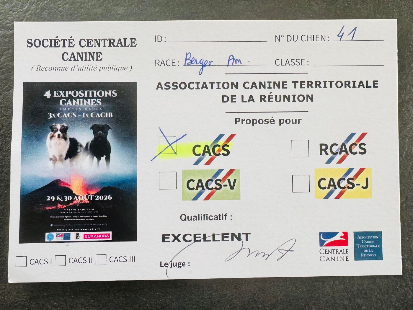 Abba dancing queen des Romarins de Mayerling - Exellent CACS