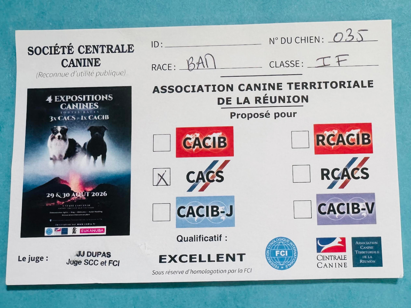 Abba dancing queen des Romarins de Mayerling - 1ére Exellent CACS