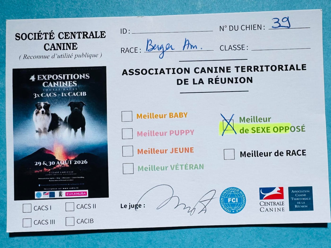 Artchy Beau Goss des Romarins de Mayerling - Exellent Meilleur de Sexe Opposé