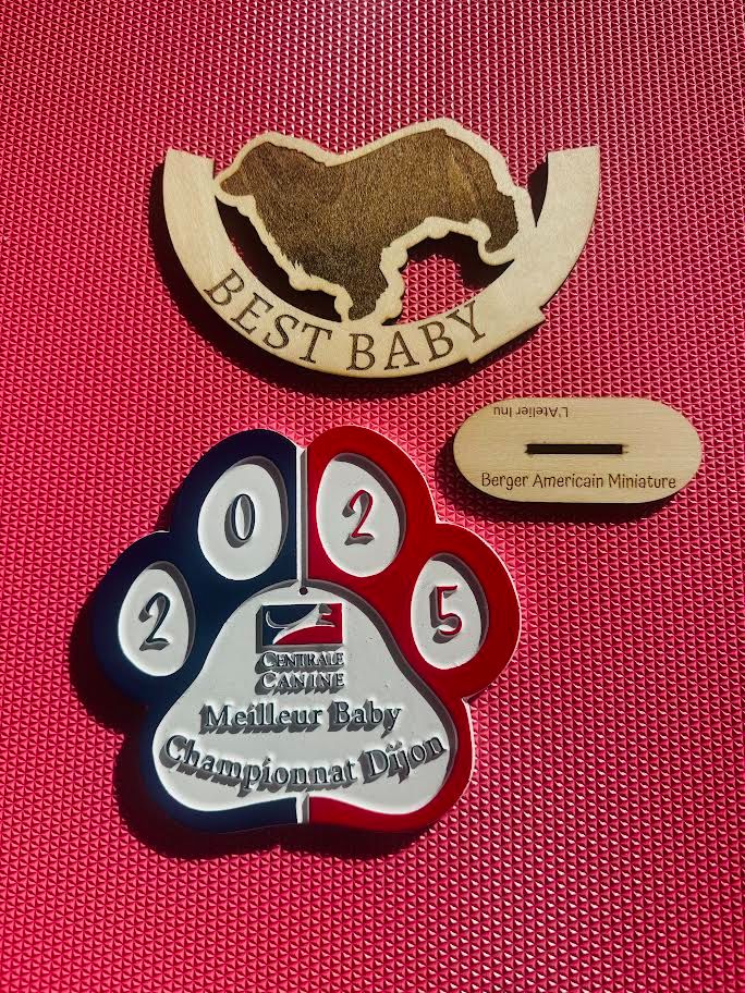 Vvalker texas ranger des Romarins de Mayerling - 1er très Prometeur