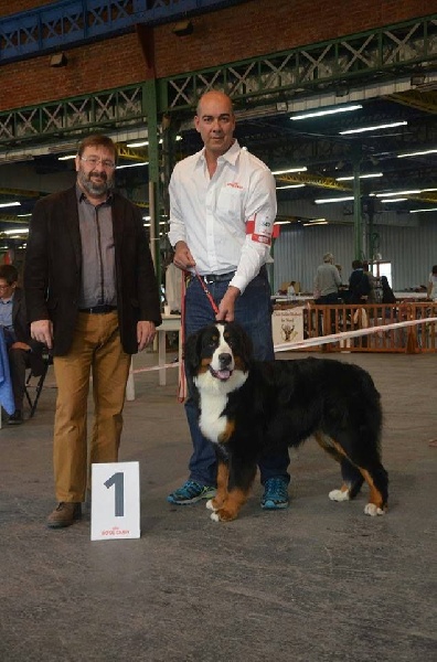 Djems du hameau des baronnies - 1ere excellent et meilleur jeune