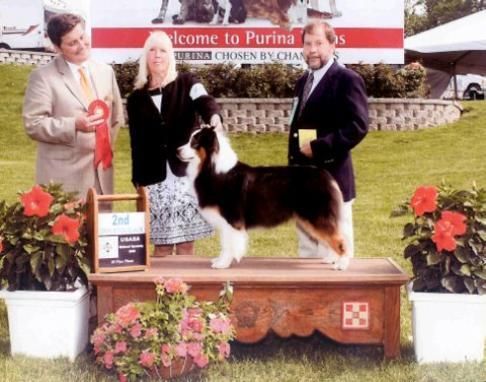 Publication : D'Austral Et Boréal