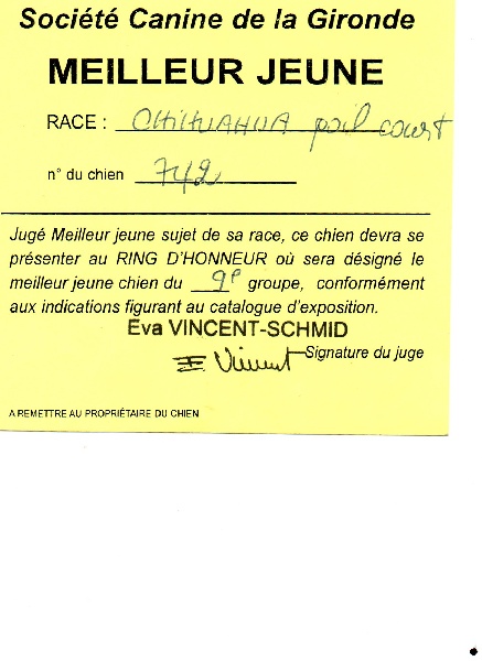 Heyden*** Des hercules de font bouillant - 1er EXCELLENT meilleur jeune