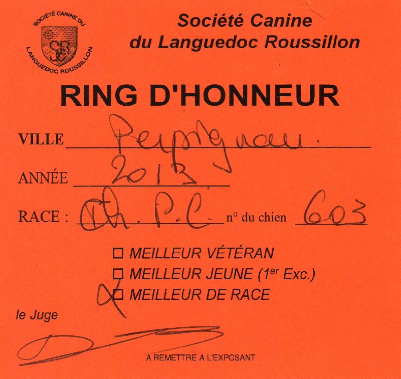 Heyden*** Des hercules de font bouillant - 4è EXCELLENT