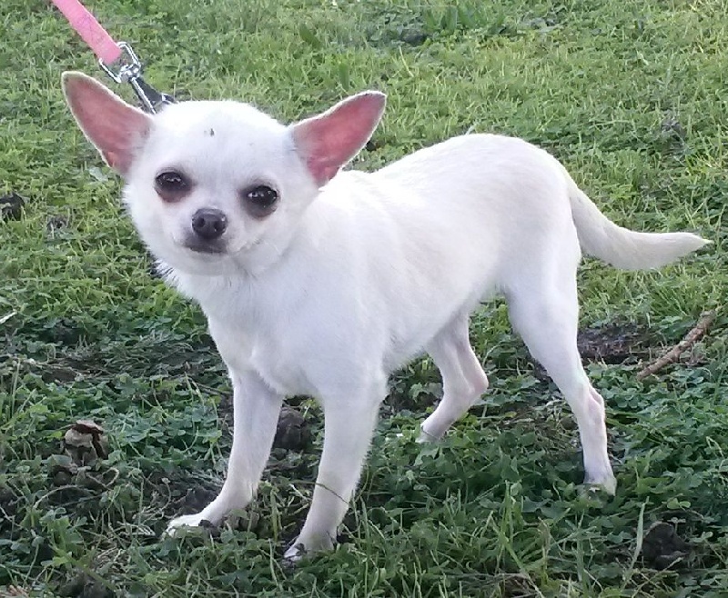 Isula des Jardins Catalans - 2èm Très bon