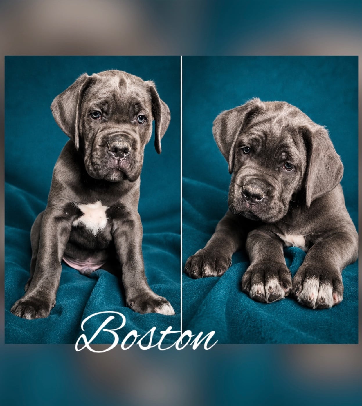 Boston