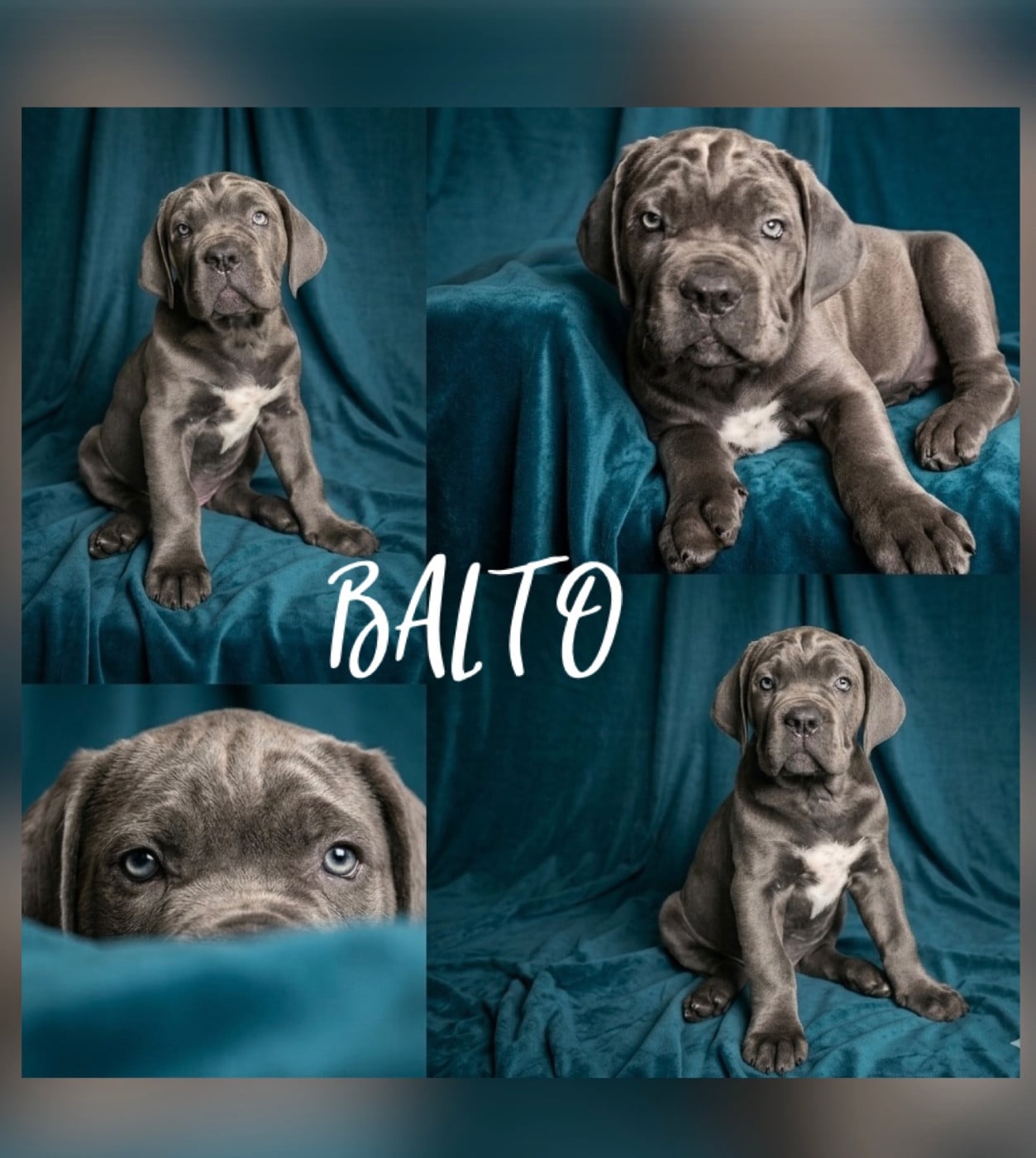 Balto