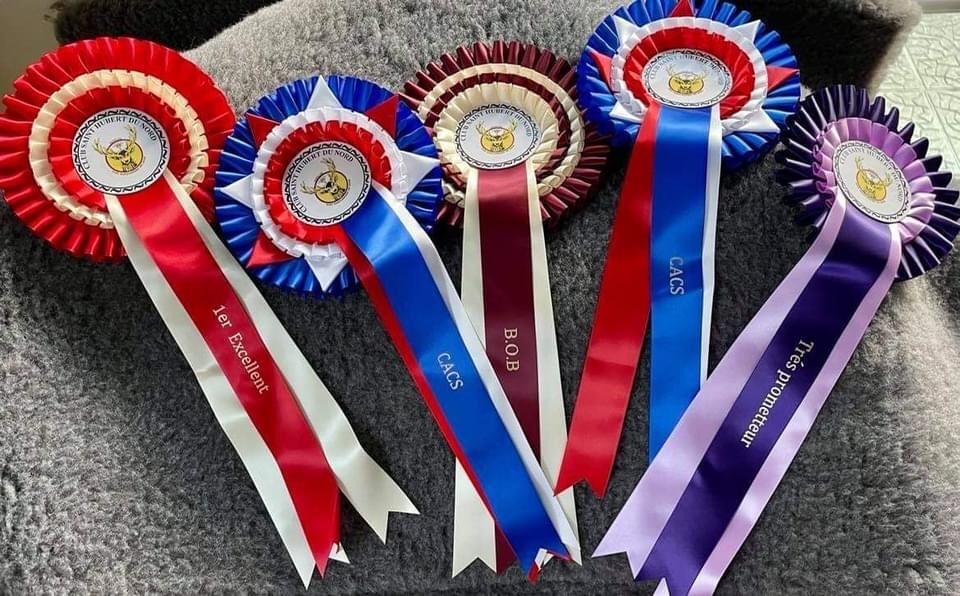 CH. Reeven Des Jardins De Vinci - 1 er Exc Cl jeune fem, meilleur jeune et BOS.