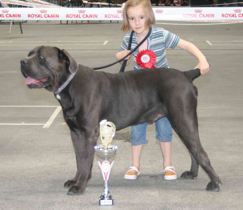 Erius (Sans Affixe) - 1er EXC CACS CACIB Meilleur de Race