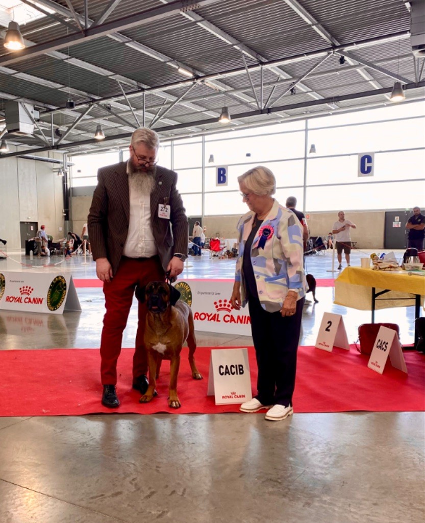 CH. Reeven Des Jardins De Vinci - 1 iere Exc CACIB cl Ch