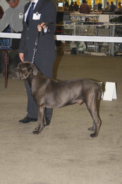 Erius (Sans Affixe) - T.B nc