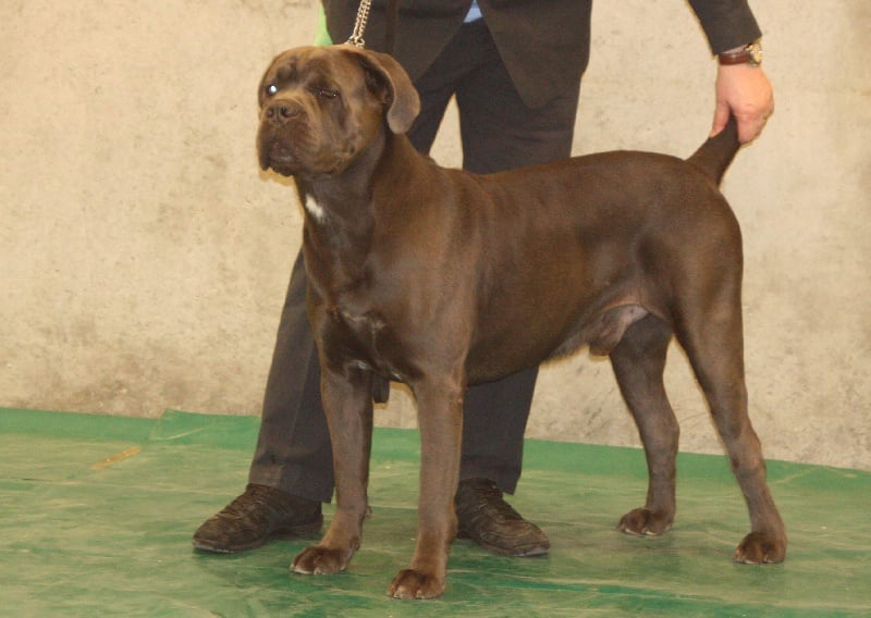 Erius (Sans Affixe) - 2ème EXC cl ouv RCACS