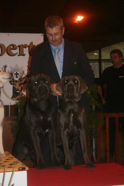 Erius (Sans Affixe) - 1er Exc