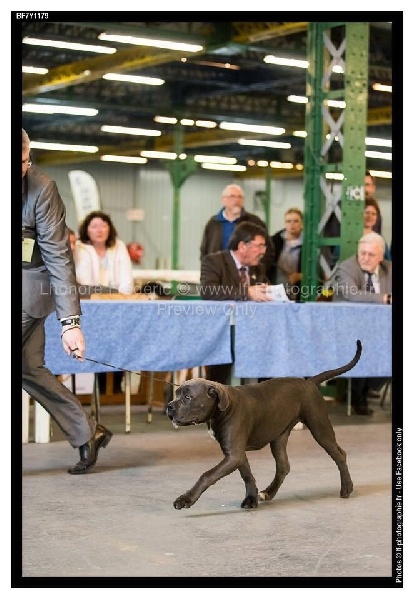 Judy Des Jardins De Vinci - T.Prometteur et meilleur baby.