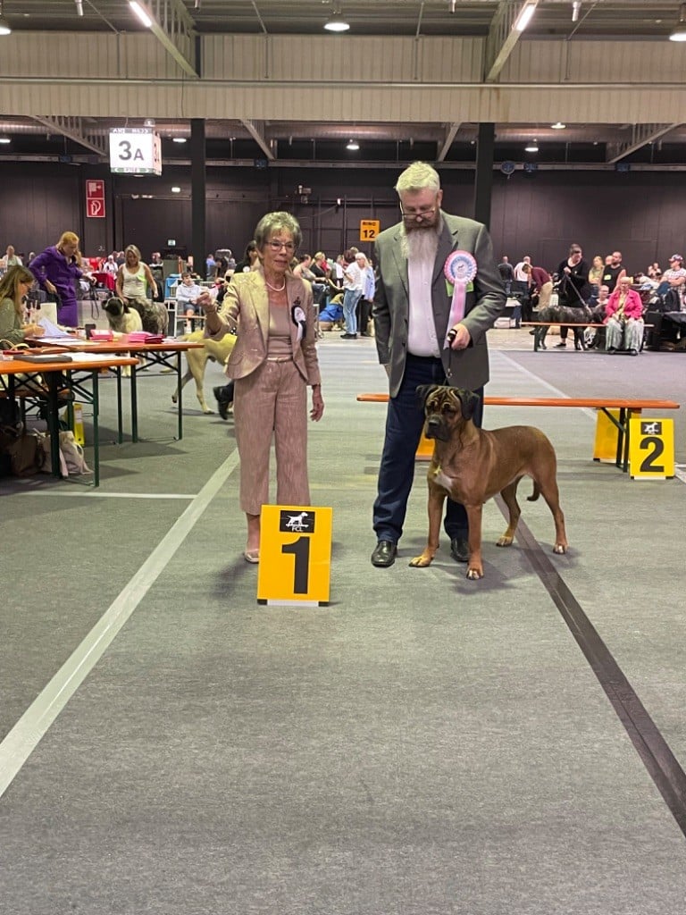 CH. Reeven Des Jardins De Vinci - 1 er Exc CACL /CACIB/ BOS