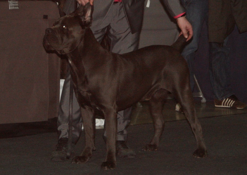 Erius (Sans Affixe) - 3ème Exc cl ouv