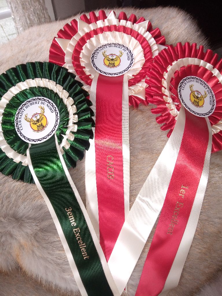 CH. Reeven Des Jardins De Vinci - 3 ème Exc cl inter femelle