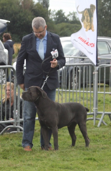 Erius (Sans Affixe) - T.B nc