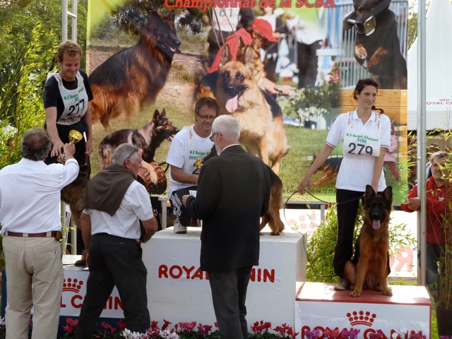 Publication : Du Château Les Jamnets