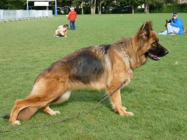 Publication : Du Château Les Jamnets