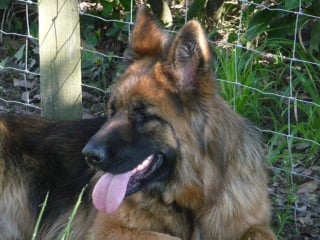 Publication : Du Château Les Jamnets