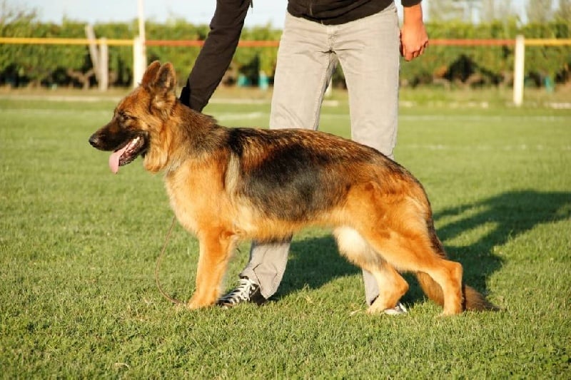 Publication : Du Château Les Jamnets