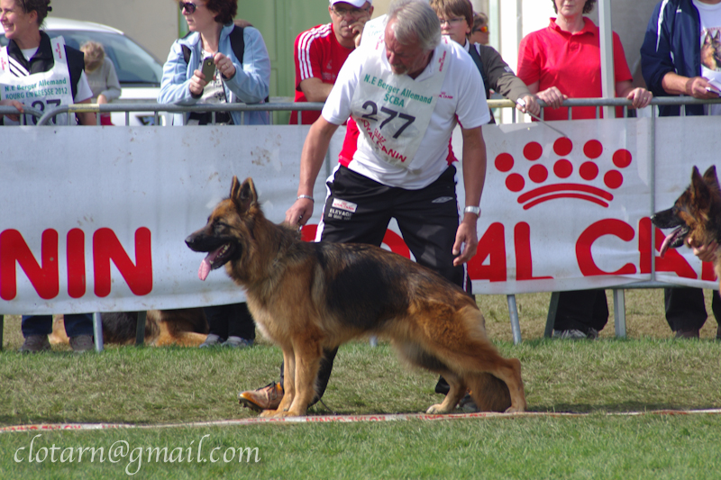 Publication : Du Château Les Jamnets
