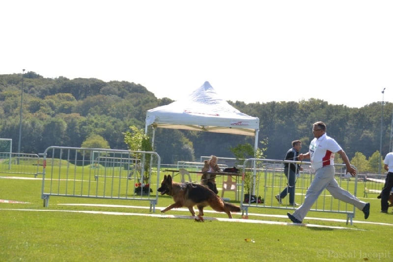Publication : Du Château Les Jamnets