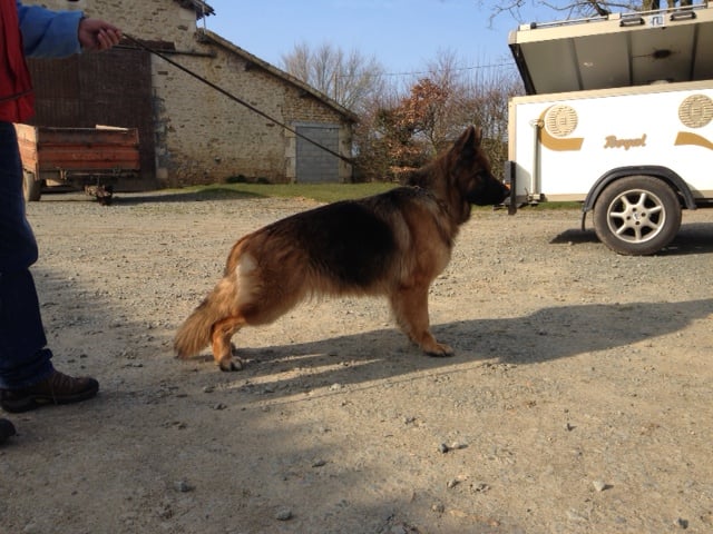 Publication : Du Château Les Jamnets