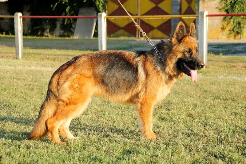 Publication : Du Château Les Jamnets