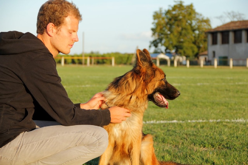 Publication : Du Château Les Jamnets