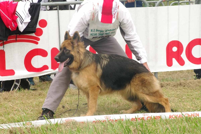Publication : Du Château Les Jamnets
